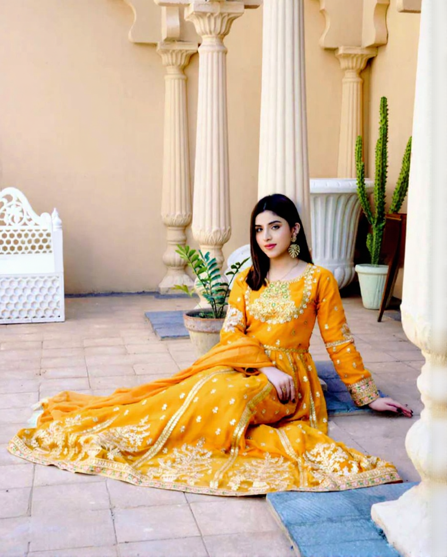gold zari anarkali gown set